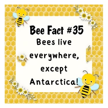 Bee fact via alveystarr.com