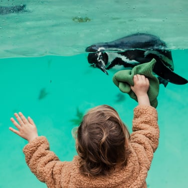 a little girl is holding a stuffed hat in front of a penguin aquarium