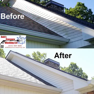 House wash in Rogersville, Tn 37857 near me by Bobs Pressure Washing LLC in Bulls Gap, Tn 37711 10