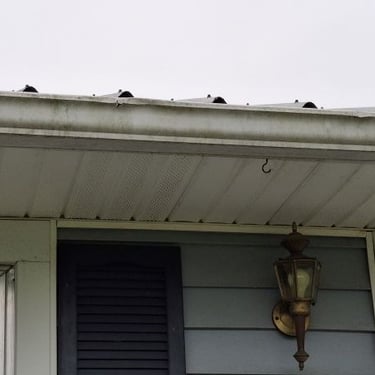 Vinyl house wash in Mooresburg, Tn 37811 by Bobs Pressure Washing services 28
