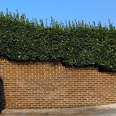 Retaining wall wash in Russellville, Tn 37860 near me by Bobs Pressure Washing LLC in Bulls Gap, Tn 37711 1