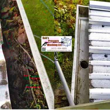 Gutter cleaning in Whitesburg, Tn 37891 near me by Bobs Pressure Washing LLC in Bulls Gap, Tn 37711 2
