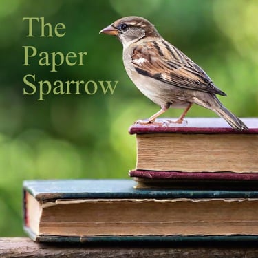 Image for The Paper Sparrow online store
