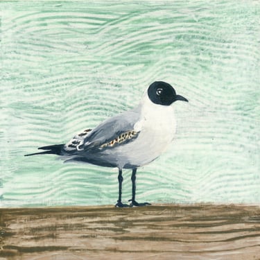 Balck headed gull against textured ground