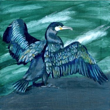 Cormorant with open wings
