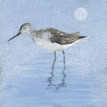 Greenshank in water with moon