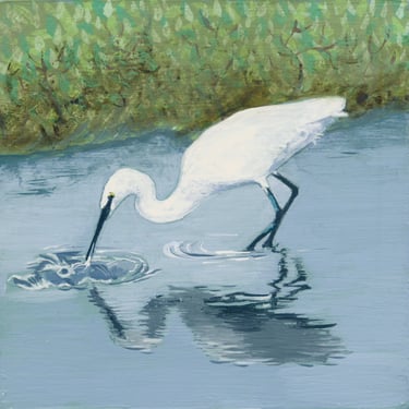 Little egret with fish