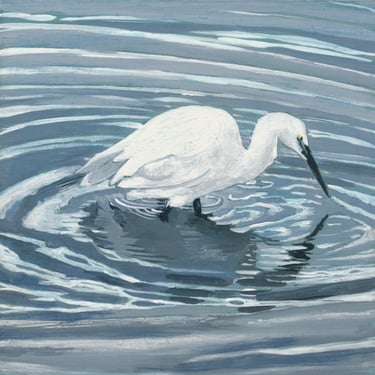 Little egret fishing
