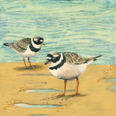 Pair of ringed plovers on beach with waves