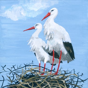 Pair of storks on nest