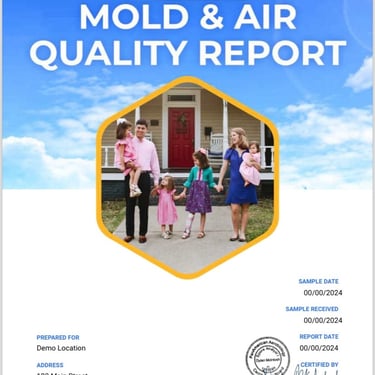 SAFETOUCH 360 Mold Report 1