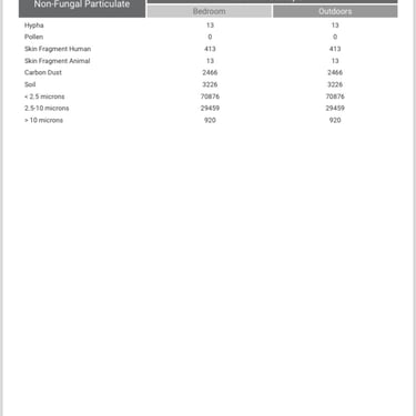SAFETOUCH 360 Mold Report 8