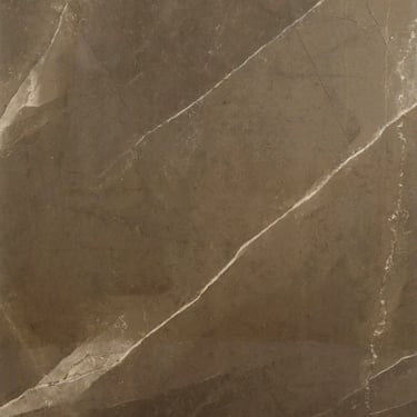 esempio di marmo marrone