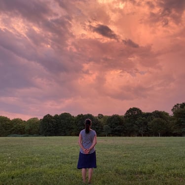 sunset dreams children author
