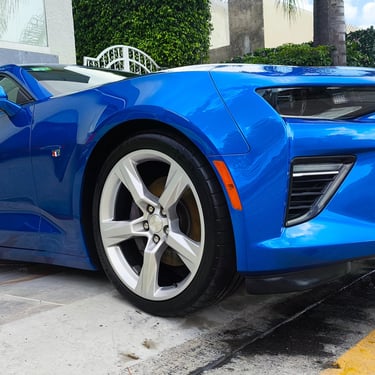 Reflejo perfecto en pintura protegida con recubrimiento cerámico aplicado en D Cars PRO Detailing Guadalajara.