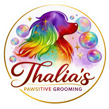 colorful dog with bubbles, Thalia's pawsitive grooming 