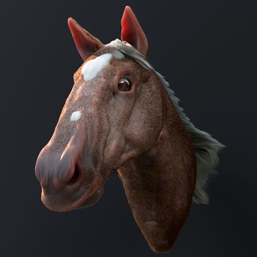 Realistic Horse - Character Design 3d