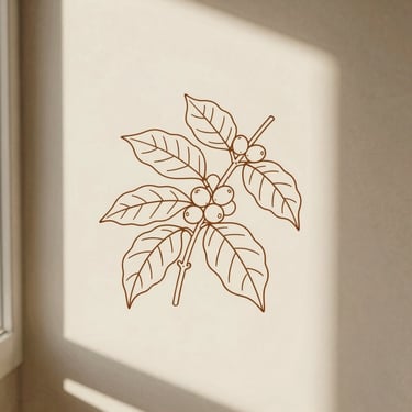 Minimalist line art illustration of a coffee plant branch with delicate leaves and berries, warm cream background