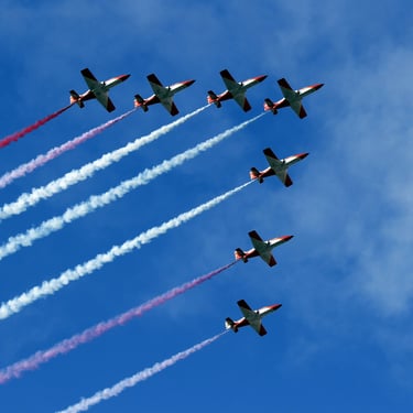 Patrulla Águila