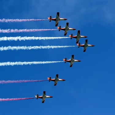 Patrulla Águila