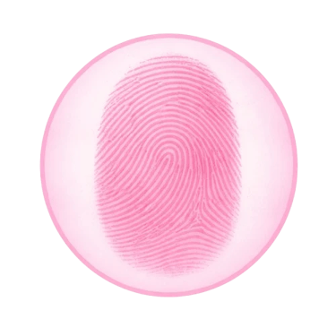 indicador visual de oferta especial de Bíblia feminina