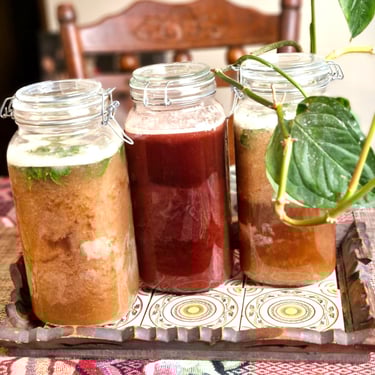 Una mesa donde aparecen 3 frascos de kombucha de guayaba y frutos rojos.