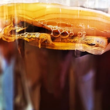 Frasco de vidrio, mostrando un scoby de kombucha en proceso.