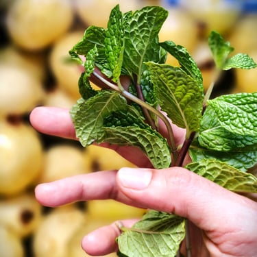 Un enfoque a una mano que tiene una hierbabuena, en el fondo se ven unas guayabas.
