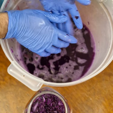 Vista aerea del proceso de chucrut morado.