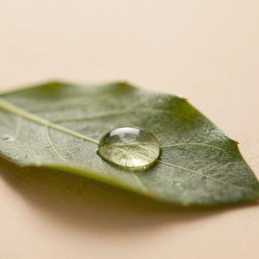 Extreme macro shot of sweet almond oil droplet on a green leaf, warm diffused light