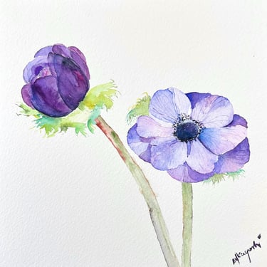 Violet Purple Anemone Flowers Watercolor Painter Weronika Kacperski