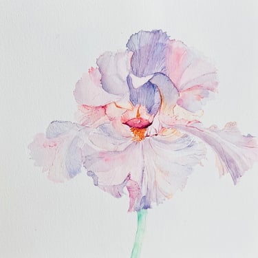 light-amethyst-and-opal-iris-flower-watercolour-weronika-kacperski