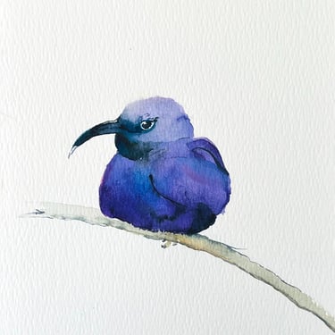 little-bird-in-violet-blue-watercolor-painting-weronika-kacperski