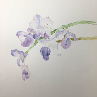 Eastern Asian Chinese Art Inspired Wisteria Blossom by Weronika Kacperski