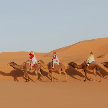 Camel Trekking in Morocco Sahara: Complete Travel Guide