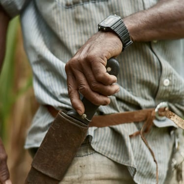 Joaquim Lopes. Poté/MG, Brazil - 2019.