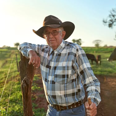 Mário Berto. NINHO Orgânico - Sítio Nossa Senhora; Alto Alegre/SP, Brazil - 2019.