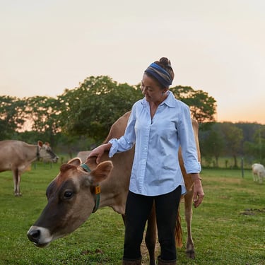 Rosângela Maria. NINHO Orgânico - Chácara São Francisco; Avanhandava/SP, Brazil - 2019.