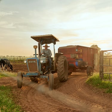 Alessandro Rodrigues. NINHO Orgânico - Fazenda Reta Grande; Coroados/SP, Brazil - 2019.