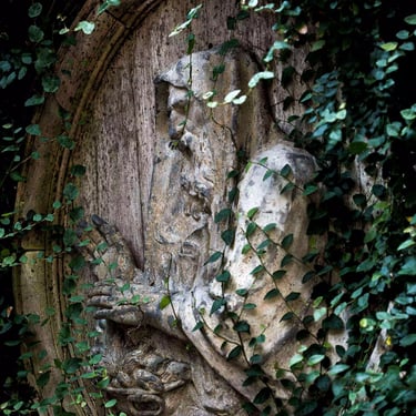 A colour photograph of an engraved bearded male figure surrounded by climbing greenery