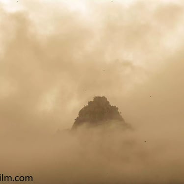 A sepia toned photograph featuring a mountain peak enveloped in thick mist with birds circling around