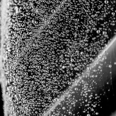 A black & white detailed photo of a large leaf covered in cobweb and glistening raindrops