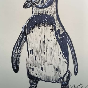 Pingüino azul, tinta