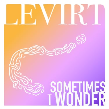 portada de canción de levirt sometimes i wonder art