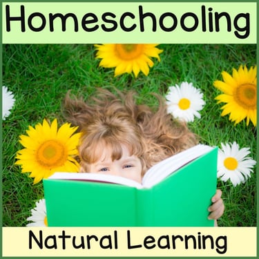 Play based spelling is perfect for home schooling