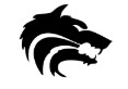 Cross Timbers Middle School Wolves