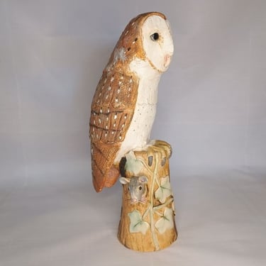 Barn Owl