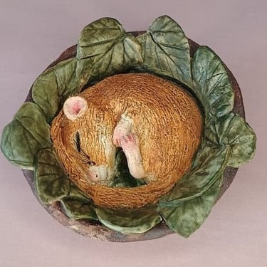 Dormouse Sleeping