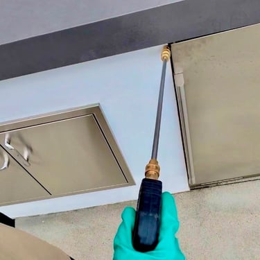 American Roach Treatment in Menifee, Murrieta, and Temecula Footprint Pest Management