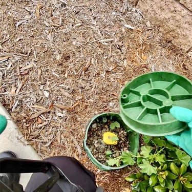 American Roach Control Service Menifee, Murrieta, Temecula Footprint Pest Management